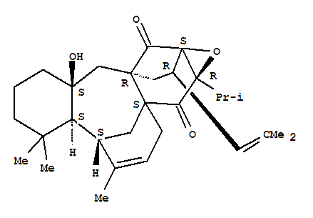 227008-99-3  1H-5,8a:10a,12a-Dimethanobenzo[4',5']cyclonona[1',2':4,5]cyclohept[1,2-b]oxirene-9,14(9aH)-dione,2,3,4,4a,5,8,11,12,13,13a-decahydro-13a-hydroxy-4,4,6-trimethyl-9a-(1-methylethyl)-11-(2-methyl-1-propenyl)-,(4aS,5S,8aS,9aR,10aS,11R,12aR,13aS)- (9CI)