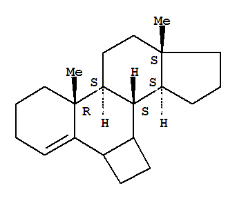 25312-72-5  Cyclobut[6,7]androsta-4,6-diene,3',4',6,7-tetrahydro- (8CI,9CI)