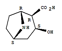 28393-47-7  8-Azabicyclo[3.2.1]octane-2-carboxylicacid, 3-hydroxy-, (1R,2R,3S,5S)-
