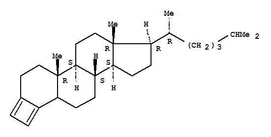 28891-51-2  Cyclobuta[3,4]cholest-3-ene(8CI,9CI)