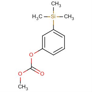 388566-07-2  Carbonic acid, methyl 3-(trimethylsilyl)phenyl ester