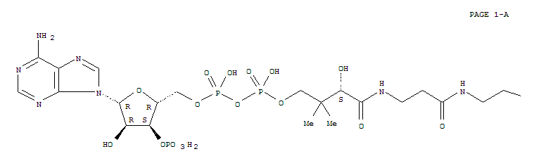 31416-98-5  Adenosine5'-(trihydrogen diphosphate), 3'-(dihydrogen phosphate),P'-[(3S)-3-hydroxy-4-[[3-[(2-mercaptoethyl)amino]-3-oxopropyl]amino]-2,2-dimethyl-4-oxobutyl]ester (9CI)