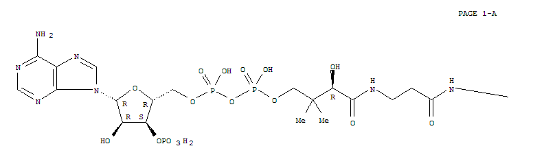 31417-02-4  Adenosine5'-(trihydrogen diphosphate), 3'-(dihydrogen phosphate),P'-[(3R)-3-hydroxy-4-oxo-4-[[3-oxo-3-[(3-mercaptopropyl)amino]propyl]amino]-2,2-dimethylbutyl]ester (9CI)