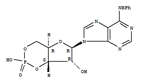 34051-30-4  Adenosine, N-phenyl-,cyclic 3',5'-(hydrogen phosphate)