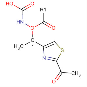 476454-76-9  Carbamic acid, [(2-acetyl-4-thiazolyl)methyl]-, methyl ester