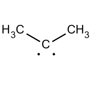 40852-89-9  Ethylidene, 1-methyl-