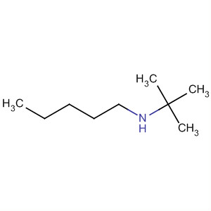 4266-04-0  1-Pentanamine, N-(1,1-dimethylethyl)-