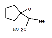 455935-81-6  1-Oxaspiro[2.4]heptane-2-carboxylicacid, 2-methyl-