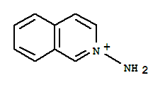 45882-18-6  Isoquinolinium,2-amino-