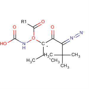 67865-71-8  Carbamic acid, [(1S)-3-diazo-1-(1-methylethyl)-2-oxopropyl]-,1,1-dimethylethyl ester