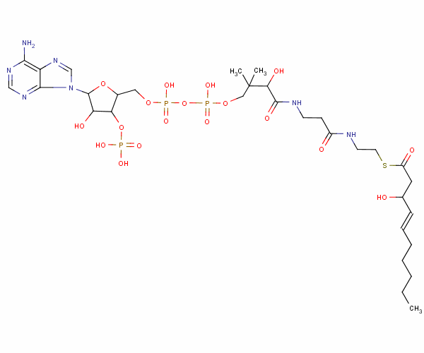 105181-63-3  3-hydroxy-4-decenoyl-coenzyme A 105181-63-3  3-hydroxy-4-decenoyl-coenzyme A