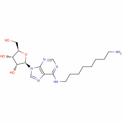 111863-56-0  N(6)-octylamine adenosine