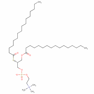 113881-60-0  1-palmitoyl-2-thiopalmitoyl phosphatidylcholine