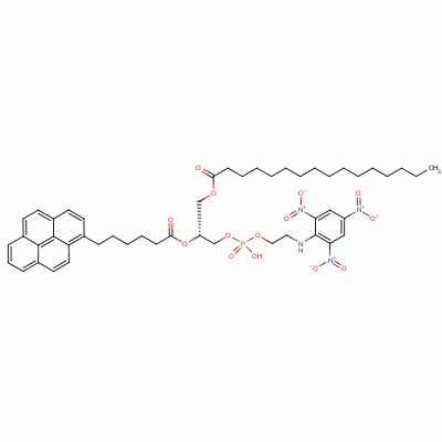 114244-01-8  1-palmitoyl-2,6-(pyren-1-yl)hexanoyl-sn-glycero-3-phospho-N-(trinitrophenyl)aminoethanol