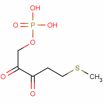 115974-73-7  1-phospho-2,3-diketo-5-S-methylthiopentane