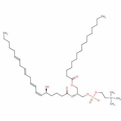 125111-41-3  1-palmitoyl-2-(5-hydroxy-6,8,11,14-eicosatetraenoyl)-glycero-3-phosphocholine