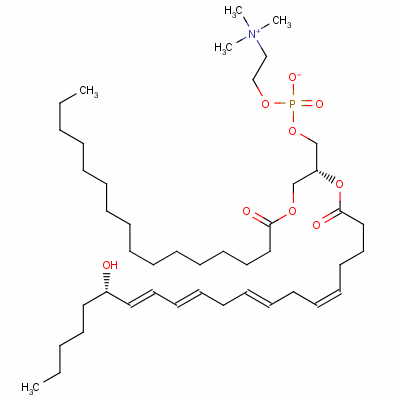 125139-36-8  1-palmitoyl-2-(15-hydroxy-5,8,11,13-eicosatetraenoyl)-glycero-3-phosphocholine