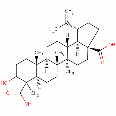 132339-62-9  3-hydroxylup-20(29)en-23,28-dioic acid 132339-62-9  3-hydroxylup-20(29)en-23,28-dioic acid
