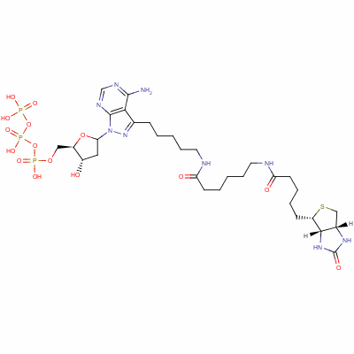 137823-47-3  3-(5-((N-biotinyl-6-aminocaproyl)amino)pentyl)-1-(2-deoxyerythropentofuranosyl)-1H-pyrazolo(3,4-d)pyrimidin-4-amine-5'-triphosphate