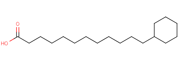 18017-77-1  omega-cyclohexyldodecanoic acid