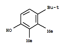 68189-19-5  Phenol,4-(1,1-dimethylethyl)-2,3-dimethyl-