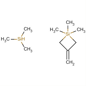 78948-05-7  Silane, (2-methylene-1,3-propanediyl)bis[trimethyl-