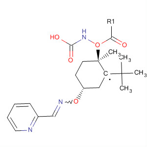 792914-05-7  Carbamic acid,[trans-1-methyl-4-[[(E)-(2-pyridinylmethylene)amino]oxy]cyclohexyl]-,1,1-dimethylethyl ester