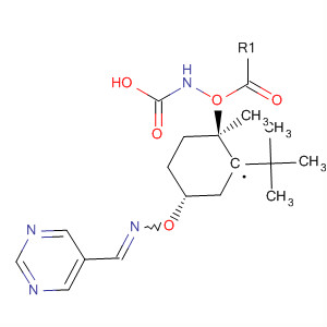 792914-43-3  Carbamic acid,[trans-1-methyl-4-[[(E)-(5-pyrimidinylmethylene)amino]oxy]cyclohexyl]-,1,1-dimethylethyl ester