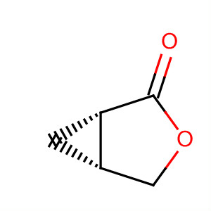 75658-86-5  3-Oxabicyclo[3.1.0]hexan-2-one, (1S,5R)-