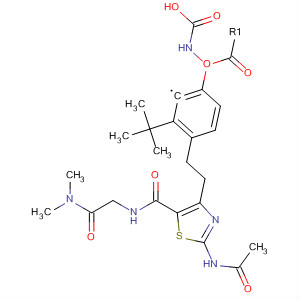 737825-53-5  Carbamic acid,[4-[2-[2-(acetylamino)-5-[[[2-(dimethylamino)-2-oxoethyl]amino]carbonyl]-4-thiazolyl]ethyl]phenyl]-, 1,1-dimethylethyl ester