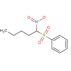 74737-91-0  Benzene, [(1-nitropentyl)sulfonyl]-