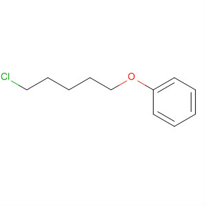 71933-92-1  Benzene, [(5-chloropentyl)oxy]-