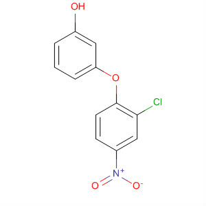 72503-58-3  Phenol, 3-(2-chloro-4-nitrophenoxy)- 72503-58-3  Phenol, 3-(2-chloro-4-nitrophenoxy)-