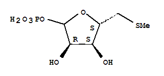 72843-83-5  D-Ribofuranose,5-S-methyl-5-thio-, 1-(dihydrogen phosphate)