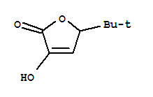 746639-69-0  2(5H)-Furanone,5-(1,1-dimethylethyl)-3-hydroxy-