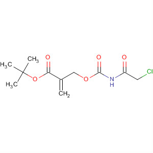 872848-19-6  2-Propenoic acid, 2-[[[[(chloroacetyl)amino]carbonyl]oxy]methyl]-,1,1-dimethylethyl ester