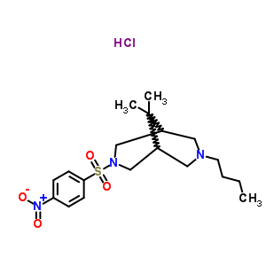 120465-86-3  3-butyl-9,9-dimethyl-7-[(4-nitrophenyl)sulfonyl]-3,7-diazabicyclo[3.3.1]nonane hydrochloride