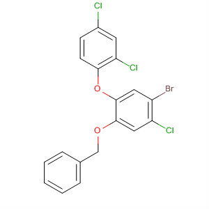 928302-70-9  Benzene,1-bromo-2-chloro-5-(2,4-dichlorophenoxy)-4-(phenylmethoxy)-