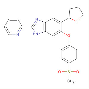 919533-94-1  1H-Benzimidazole,6-[4-(methylsulfonyl)phenoxy]-2-(2-pyridinyl)-5-(tetrahydro-2-furanyl)-