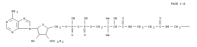 917-40-8  Coenzyme A,S-2-dodecenoate, (Z)- (9CI)