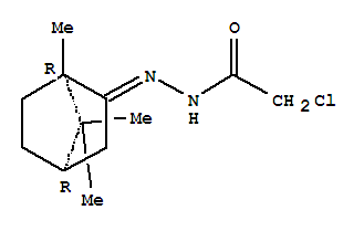 29118-71-6  2-chloro-N'-[(1R,2Z,4S)-1,7,7-trimethylbicyclo[2.2.1]hept-2-ylidene]acetohydrazide