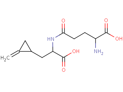 502-37-4  L- گاما-گلوتامیل-3-[(1S)-2-methylidenecyclopropyl]-L-آلانین