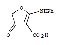 58337-23-8  4-oxo-2-(phenylamino)-4,5-dihydrofuran-3-carboxylic acid 58337-23-8  4-oxo-2-(phenylamino)-4,5-dihydrofuran-3-carboxylic acid