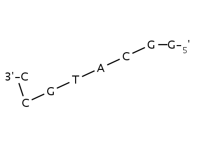 94042-92-9  2'-deoxycytidylyl-(5'→3')-2'-deoxycytidylyl-(5'→3')-2'-deoxyguanylyl-(5'→3')-thymidylyl-(5'→3')-2'-deoxyadenylyl-(5'→3')-2'-deoxycytidylyl-(5'→3')-2'-deoxyguanylyl-(5'→3')-2'-deoxyguanosine