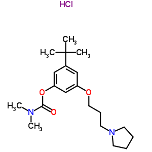 118116-20-4  3-tert-butyl-5-(3-pyrrolidin-1-ylpropoxy)phenyl dimethylcarbamate hydrochloride
