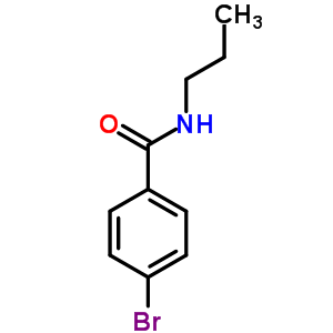 223557-19-5  4-bromo-N-propylbenzamide
