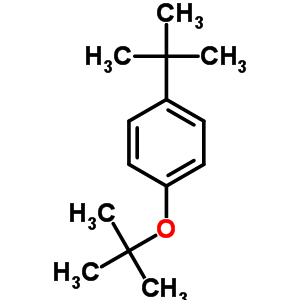 31603-95-9  tert-butyl 4-tert-butylphenyl ether