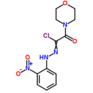 5588-52-3  2-morpholin-4-yl-N-(2-nitrophenyl)-2-oxoethanehydrazonoyl chloride