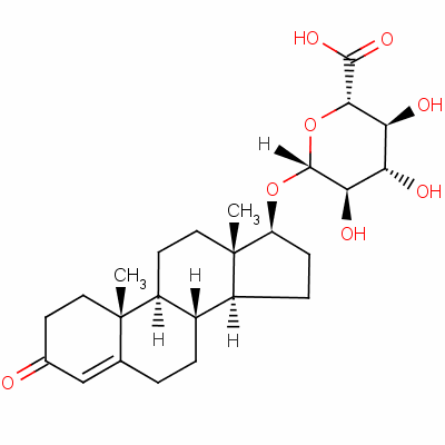 Testosterone glucuronide