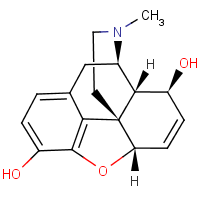 466-93-3  γ-isomorphine